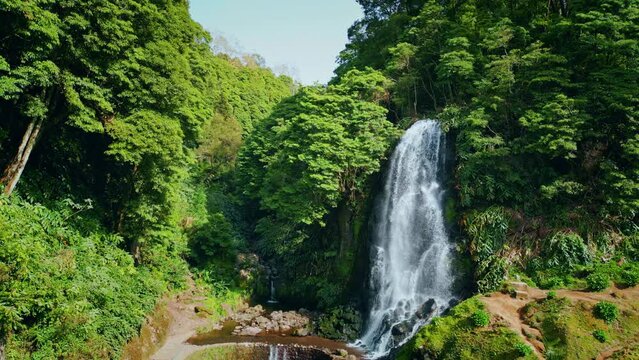 Rainforest waterfall flowing drone shot. Picturesque green woodland landscape.