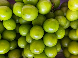 Freshly harvested Shine Muscat clusters.