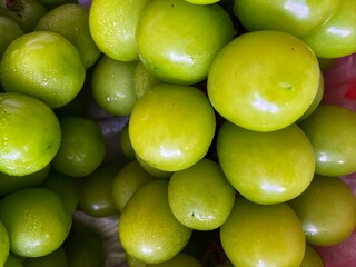 Freshly harvested Shine Muscat clusters.