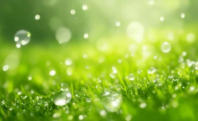 Fototapete Wiese, Sumpf A natural green grass with water drops background.
