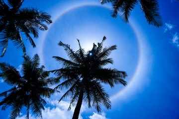 A halo formed around the Sun due to Cirrostratus clouds