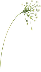 Watercolor Botanical Leaves Elements