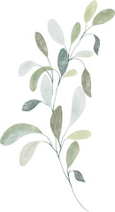 Watercolor Botanical Leaves Elements