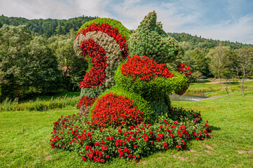 Plant sprout Kląb, Muszyna, wiewiórka © Maciej G. Szling
