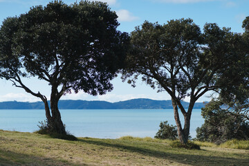 Fototapeta na wymiar Two Threes View Omana Regional Park in New Zealand