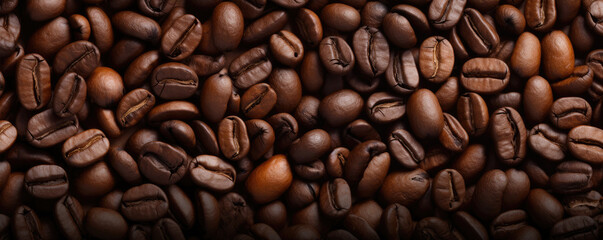 Coffee beans top view. panorama photo.