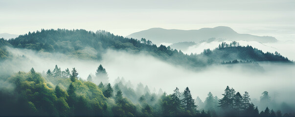 Misty foggy mountain with green forest and copyspace for your text.