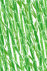 Obraz premium bamboo forest background 
