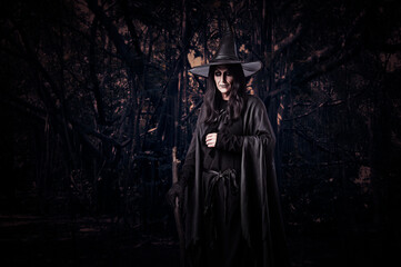 Obraz premium Halloween witch standing over spooky dark forest with tree, leaves and vine, Halloween mystery concept