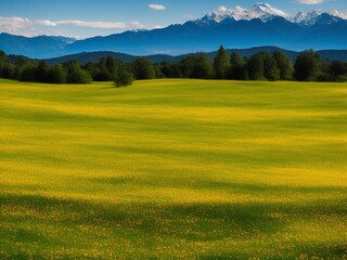 A peaceful green meadow with wildflowers and a distant view of the mountains