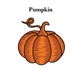 Pumpkin for Halloween or Thanksgiving colorful design with vector illustrations