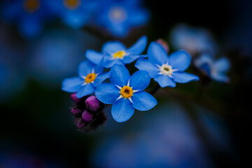 017
