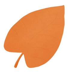 leaf autumn