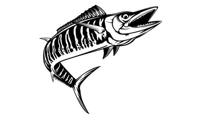 Vector Illustration of a wahoo. Acanthocybium solandri. A scombrid fish jumping up viewed from the side set on isolated white background done in retro style. - obrazy, fototapety, plakaty