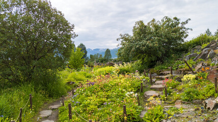 
Botanical garden in Tromso on a sunny day in summer in Norway 