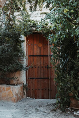 Fototapeta na wymiar old wooden door in stone wall surrounded by greenery