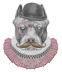 Portrat of Pit Bull with Elizabethan Collar, Bowler Hat, Monocle and Mustache. Hand-drawn illustration