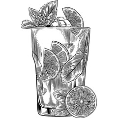 Hand drawn Mojito Cocktail Drink