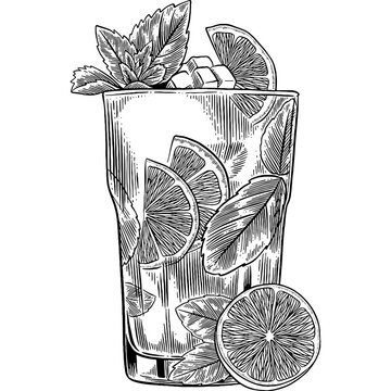 Hand drawn Mojito Cocktail Drink