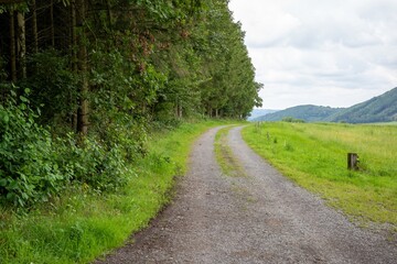 Fototapeta na wymiar path in the landscape with meadow, trees,sky