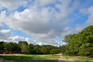 Fototapeta na wymiar 樹木に囲まれた広場の上空に、白く大きな雲が並んでいる風景