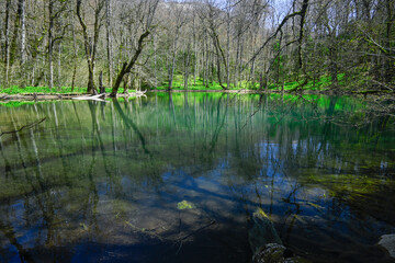 Reflection of the beech forest in the lake Biograd, Montenegro, , early spring