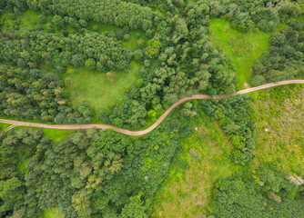 View from Above of a winding country road between the green forest.