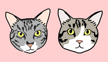Cat faces and heads looking forward, adorable two grouped file included - Khaki Tabby and Gray Cats