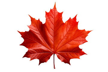 Maple Leaf isolated on a transparent background. Generative Ai