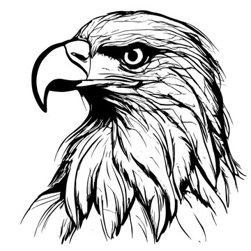 eagle vector animal illustration for design. Sketch tattoo design on white background