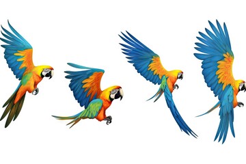 freedom colours pretty background isolated blue genus animal fly isolated pet air feather alone bird Set bright beak macaw cute parrot beautiful macaw background nature white parrot colourful look