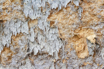  plywood background is decaying from