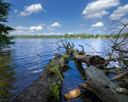 Nat&uuml;rliches Waldufer Kellersee Ostholstein