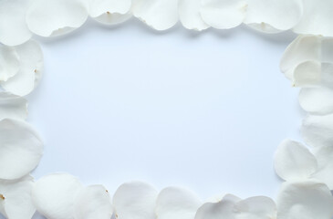 White floral composition with white rose petals on a white background