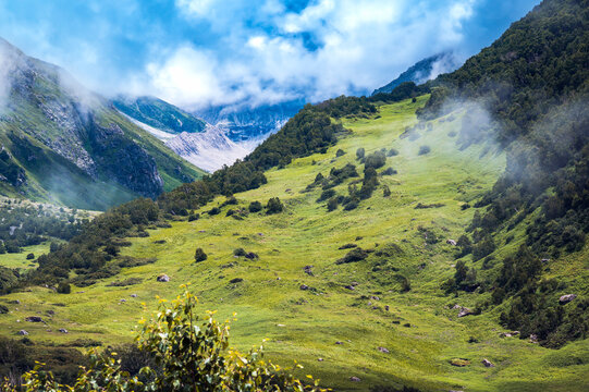 Meadow in the mountains. With a stunning backdrop of the mighty Himalayan ranges, scenic Valley of Flowers National Park, and a UNESCO World Heritage Site. District; Chamoli, Uttarakhand, India.
