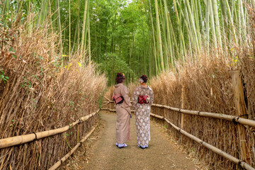 Japanese geisha women. Girls in Asian kimono. Japanese geisha with their backs to camera. Two ladies are standing near bamboo fence. Japanese culture. Japan traditions. Geisha in countryside