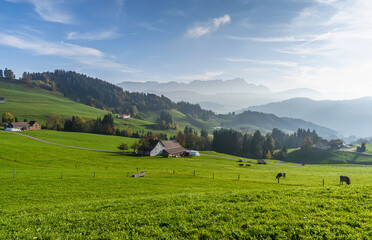 Hilly mountainous landscape in the Appenzell Alps with farmhouses and grazing cows, view towards the Alpstein mountains with Saentis, Appenzellerland, Canton Appenzell Innerrhoden, Switzerland