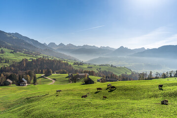 Vibrant green mountain landscape in the Toggenburg region of the Swiss Alps, with views towards the...