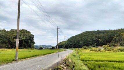 Fototapeta na wymiar The countryside scenery, the area around Kitora Tumulus, Kitora Tumulus is famous for its walls depicting the four gods of Suzaku, Seiryu, Byakko, and Genbu. Japan, Nara