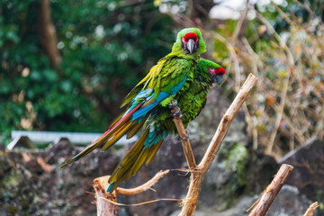 日本伊豆動物公園2023