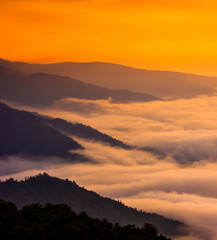 scenic Carpathian summer view,  amazing morning foggy scenery,, Ukraine, Europe