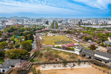 日本姬路城櫻花2023