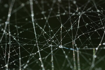 Cobweb with water drops on dark background. Macro photography