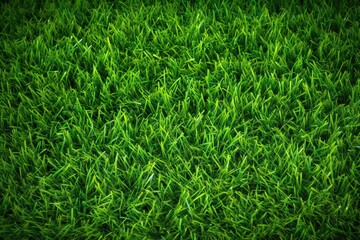 football exercise background game cover fresh beautiful floor can g abstract field background court Green environment closeup grass fiber green colours grass category grassy use texture fake garden - obrazy, fototapety, plakaty