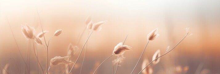 Beautiful abstract background banner with a close up of dried wild grass in the autumn fields at dawn. generative AI