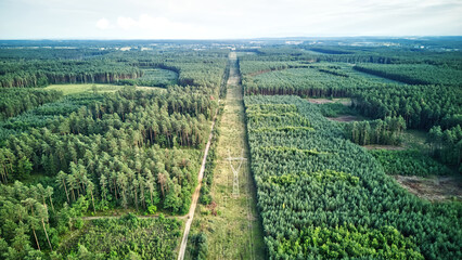 Aerial view of electric power lines running through the forest.