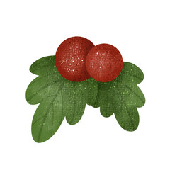Christmas Red berry leaves ,decoration, background, merry, watercolor,cartoon character,cute,icon ,vector, illustration,hand drawn
