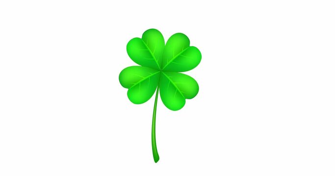 Green four leaf clover icon isolated on white background. Happy Saint Patrick's day motif. Great for web template, header for website. Stock 4K video graphic animation