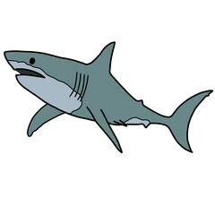 shark cartoon isolated