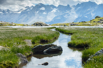 Ein idyllischer Bergsee inmitten der Alpen eingebettet in ein Meer aus Wollgras
